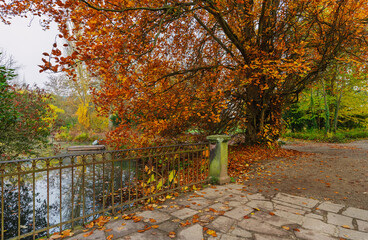 Im Park herbstlich bunt und romantisch mit Teich und kleiner Brücke