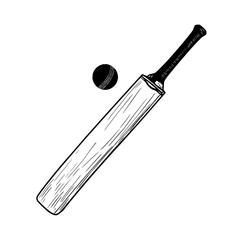 Illustration of a cricket bat and ball in black and white with detailed line work and shading style