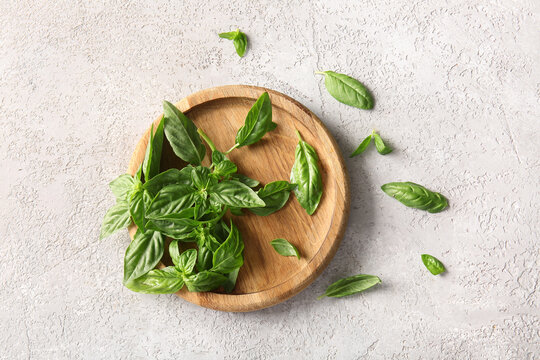 Wooden plate with fresh green basil leaves on grey background