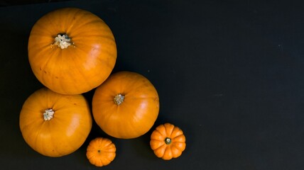 Beautiful fresh pumpkin on a black background