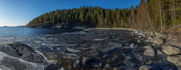 View of shimmering ice floes drift on the dark waters, reflecting the clear sky, against a backdrop of lush green forest, Sortavala, Russia.