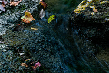View of water flowing over moss-covered rocks with scattered autumn leaves in a serene scene, Sharonville, Ohio, United States.