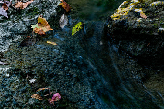 View of water flowing over moss-covered rocks with scattered autumn leaves in a serene scene, Sharonville, Ohio, United States.