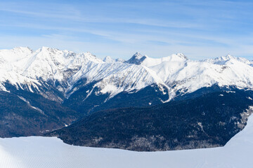 A beautiful snowy mountain range with tall trees in the foreground