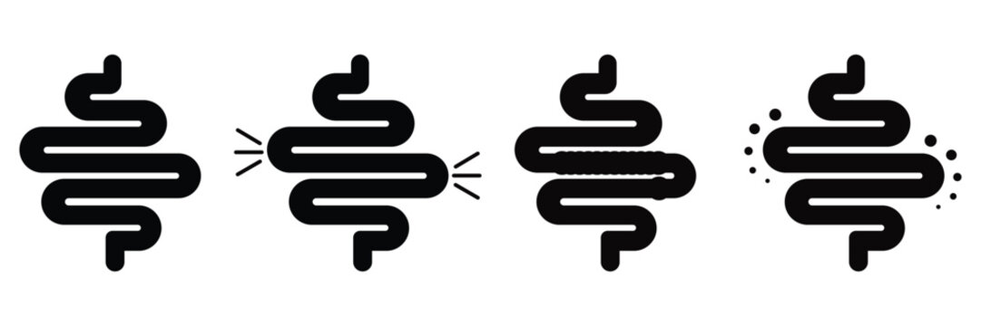 Human Intestine Vector Icon Set &ndash; Digestive System, Gut, Bowel, and Colon Line and
 Silhouette Medical Illustration
