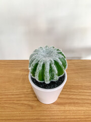 Small artificial cactus in a white ceramic pot on a clean background. Minimalist home decor concept, perfect for desk, living room, or modern interior styling.
November 12 2025