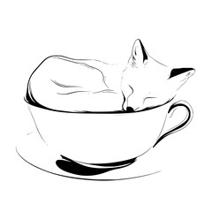 A delicate line drawing of a fox sleeping peacefully inside of a teacup on a matching saucer art