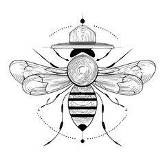 Detailed line art of a bee with a hat and geometric accents on a white background illustration