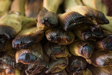 Close up of traditional tamales or humitas steaming in a large pot. Hot steam rises from the corn husk wrappers, which are toasted and charred on top. Authentic latin food preparation.