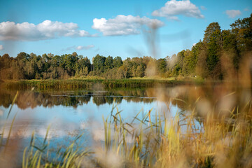 Serene lake landscape with lush greenery and soft clouds reflecting on calm water