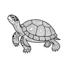 Fototapeta premium Decorative Turtle Illustration with Ornamental Patterns