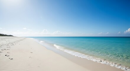 Beautiful Tropical Beach with White Sand and Turquoise Water.