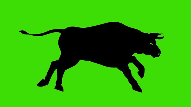 Black bull runs on a transparent background. Cyclic animation. Green Screen. Can also use as a silhouette animation