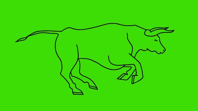 Angry Bull Running Outline Animation Cycle on green screen background 