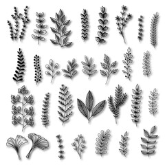 vector set of wheat ears set of black and white flowers Set of Flower icons Silhouettes, Abstract botanical flower icon, vector botany floral design Cute round flower plant nature collection, Vector 