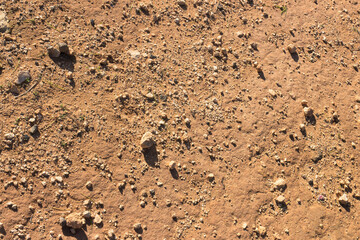 Desert ground as a natural background.