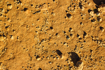 Desert ground as a natural background.