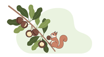 Squirrel Gathering Nuts From Nut Tree, Simple Illustration With Green Background