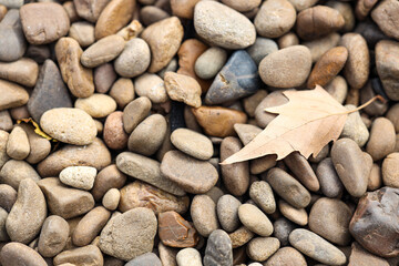 Texture of pebbles with autumn leaf as background, closeup