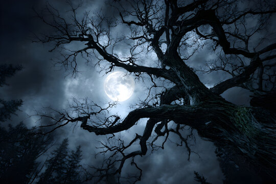 Haunted forest at night with ancient bare tree under moonlight - Powered by Adobe