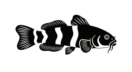 Banded Loach Silhouette: A striking black and white silhouette of a banded loach, showcasing the distinctive striped pattern of the fish and its unique physical features. 