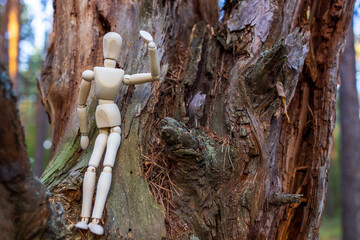 A wooden figure is sitting on a tree branch