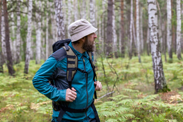 A bearded traveler with a backpack on his back in a birch grove