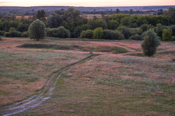 A road cuts through a field of grass