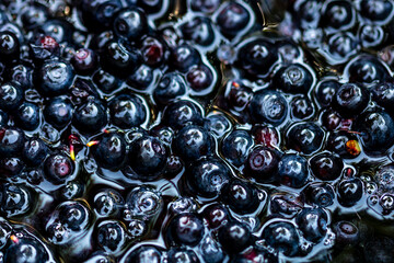Wild blueberry. Freshly picked organic blueberries