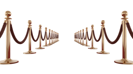 Golden stanchions and velvet ropes create an elegant red carpet entrance