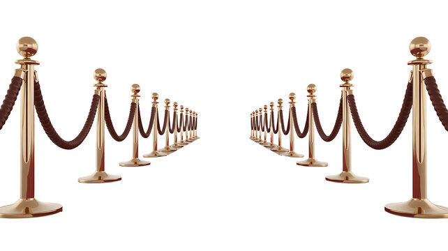 Golden stanchions and velvet ropes create an elegant red carpet entrance