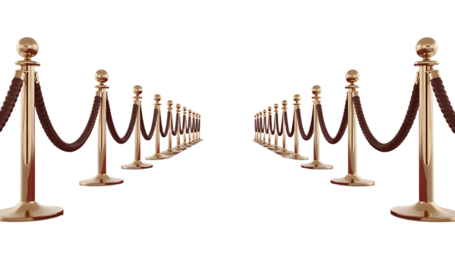 Golden stanchions and velvet ropes create an elegant red carpet entrance