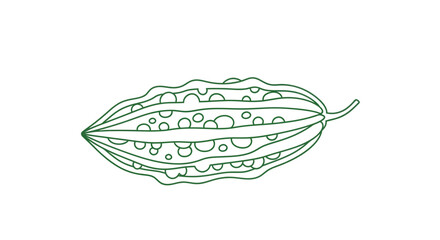 Minimalist Drawn Bitter Melon Pod Outline Isolated On White Background With Fine Lines