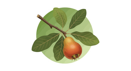 Medlar Fruit Artfully Presented Against Pale Green Background and Delicate Leaves
