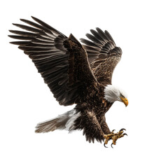 Fototapeta premium Png of bald eagle with wings spread, isolated on transparent background, descending for a landing or preparing to strike