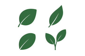 Obraz premium Green leaves illustration with transparent background, simple plant natural ecology icon, growth and environment concept