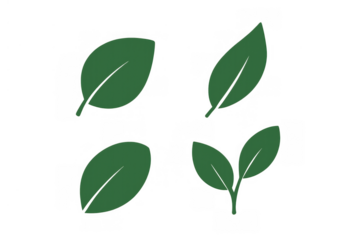 Green leaves illustration with transparent background, simple plant natural ecology icon, growth and environment concept