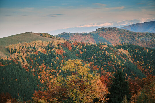 Scenic autumn landscape featuring colorful forests covering rolling hills, with snow-capped mountain peaks faintly visible in the distance under a soft, cloudy sky. 