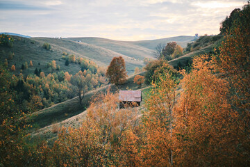 Hilly landscape in autumn colors, featuring a small wooden house nestled among trees with vibrant foliage. Soft light and rolling hills create a tranquil scene. Perfect for nature lovers.