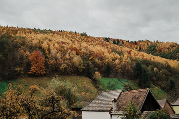 Scenic autumn landscape with colorful foliage covering a hillside and charming rooftops nestled below. A tranquil, autumnal view for editorial or commercial use.