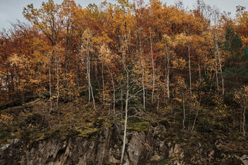 Autumn scene showcasing colorful trees atop a rocky terrain. Features orange and yellow foliage, contrasted against the rugged rock face. Evokes the essence of fall.