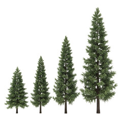 Obraz premium Set of various sized evergreen trees isolated on transparent