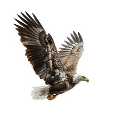 Obraz premium Png of bald eagle in midflight, wings extended, captured against a clean transparent background, isolated on transparent background