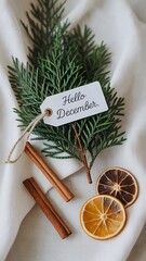 Hello December seasonal composition with fir branches and dried oranges