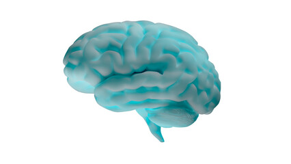 Isolated human brain on white background. Idea concept, isolated 3d illustration	