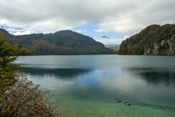 Tranquil Alpsee lake in the Alps, surrounded by wooded mountains with clear, greenish water.