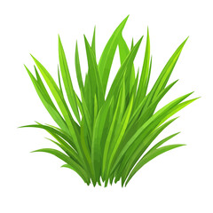2D flat vector illustration of Wheatgrass, clean and minimal icon style, isolated on white background.