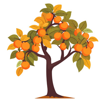 2D flat vector illustration of Persimmon Tree, clean and minimal icon style, isolated on white background.