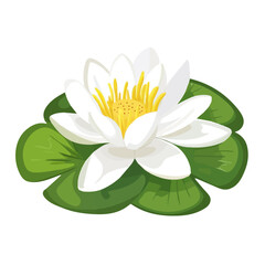 Water Lily, 2D flat vector illustration, simple and modern style, isolated on a plain white background.