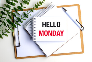 Notebook with hello monday text on clipboard with pen and green leaves on white background